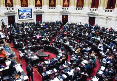 “Tiene que ser ley Ficha Limpia”, aseguran desde La Libertad Avanza