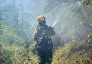 River publicó un video institucional para concientizar y ayudar en los incendios de la Patagonia